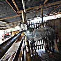 House in Portugal, Algarve, Albufeira, 200 sq.m.