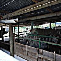 House in Portugal, Algarve, Albufeira, 200 sq.m.