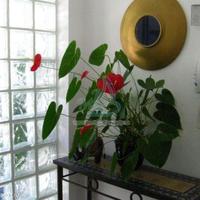 Villa in Portugal, Albufeira, 491 sq.m.