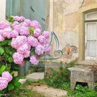 Шале в Португалии, Албуфейра, 425 кв.м.