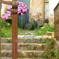 Шале в Португалии, Албуфейра, 425 кв.м.