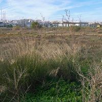 Land plot in Portugal, Algarve