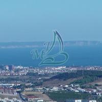 Другое в Португалии, Албуфейра, 700 кв.м.