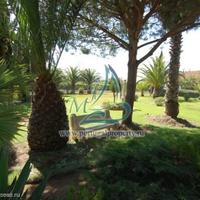 House in Portugal, Albufeira, 607 sq.m.