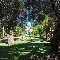 Дом в Португалии, Албуфейра, 200 кв.м.