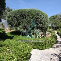 Дом в Португалии, Албуфейра, 280 кв.м.