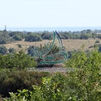 Villa in Portugal, Albufeira, 236 sq.m.