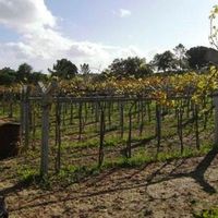 Villa in Portugal, Algarve, 375 sq.m.