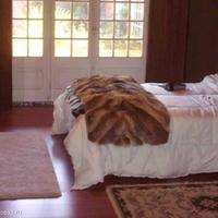 House in Portugal, Albufeira, 230 sq.m.