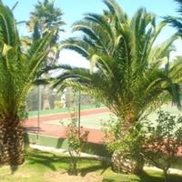 Вилла в Португалии, Албуфейра