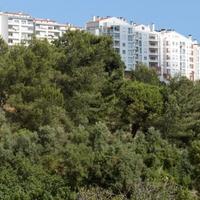 Flat in Portugal, Albufeira