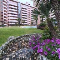 Flat in Portugal, Albufeira