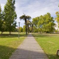 Flat in Portugal, Albufeira