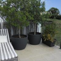 Flat in Portugal, Albufeira