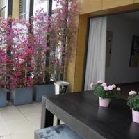 Flat in Portugal, Albufeira