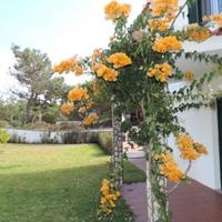 Вилла в Португалии, Албуфейра