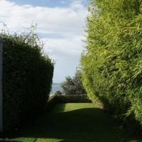 Квартира в Португалии, Албуфейра