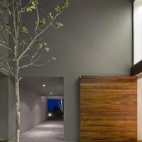 Вилла в Португалии, Албуфейра