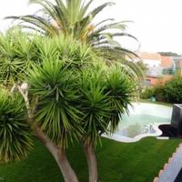 Вилла в Португалии, Албуфейра