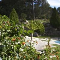 Вилла в Португалии, Албуфейра