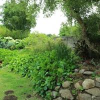 Дом в Португалии, Албуфейра