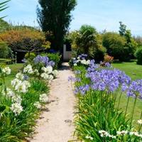 Вилла в Португалии, Албуфейра