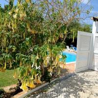 Villa in Portugal, Albufeira