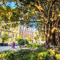 Office in Portugal, Albufeira