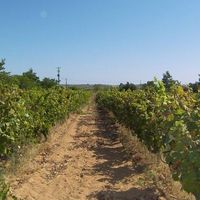 Villa in Portugal, Algarve, 700 sq.m.