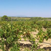 Villa in Portugal, Algarve, 700 sq.m.