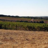 Villa in Portugal, Algarve, 700 sq.m.