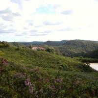 Вилла в Португалии, Албуфейра