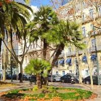 Офис в Португалии, Албуфейра