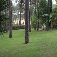 Вилла в Португалии, Албуфейра