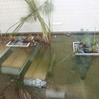 Вилла в Португалии, Албуфейра