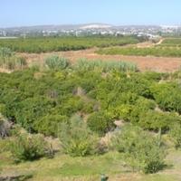 Flat in Portugal, Albufeira