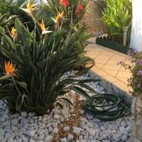 Villa in Portugal, Albufeira