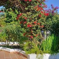 Вилла в Португалии, Албуфейра