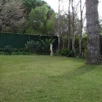 House in Portugal, Albufeira