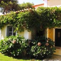 Вилла в Португалии, Албуфейра