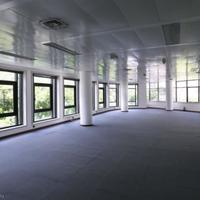 Офис в Португалии, Албуфейра