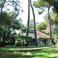 Villa in Portugal, Albufeira