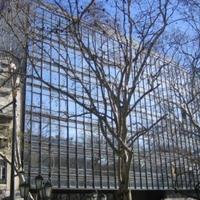 Офис в Португалии, Албуфейра