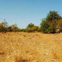 Villa in Portugal, Algarve, 460 sq.m.