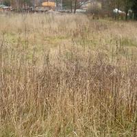 Land plot Czechia, Karlovy Vary Region, Karlovy Vary