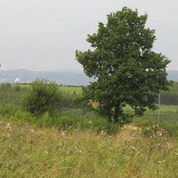 Land plot Czechia, Karlovy Vary Region, Karlovy Vary