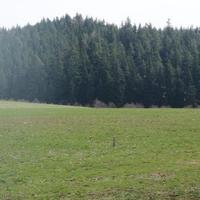 Земельный участок в Чехии, Карловарский край, Карловы Вары