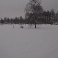 Land plot Czechia, Karlovy Vary Region, Karlovy Vary