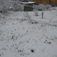 Land plot Czechia, Karlovy Vary Region, Karlovy Vary