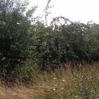 Земельный участок в Чехии, Карловарский край, Карловы Вары